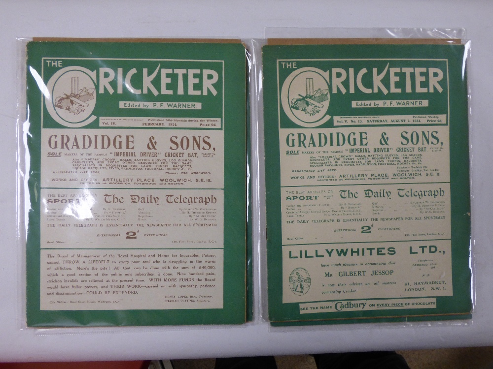 A QUANTITY OF CRICKET EPHEMERA INLUDING SIX WISDEN ALMANACS - 1980, 81, 83, 90, 94, 96 - Image 6 of 6