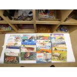 A QUANTITY OF TEA CARD ALBUMS INCLUDING ASIAN WILDLIFE, WILD BIRDS AND MORE