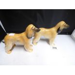 2 SYLVAC AFGHAN HOUNDS DOGS