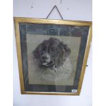 PASTEL DRAWING OF DOG. FRAMED AND SIGNED BY ARTIST