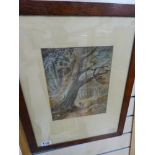 A FRAMED AND GLAZED WATERCOLOUR OF A WOODLAND SCENE, UNSIGNED 40CM BY 50CM