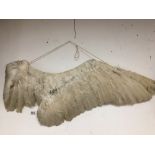 LARGE BIRD WING. 101 CMS