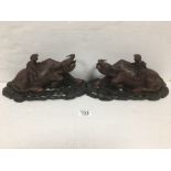 PAIR OF CARVED ROSEWOOD COWS WITH GLASS EYES RAISED ON WOODEN STANDS