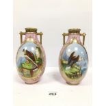 A PAIR OF VICTORIAN STAFFORDSHIRE TWIN HANDLED VASES, EACH PAINTED WITH SCENES OF BIRDS OF PREY,