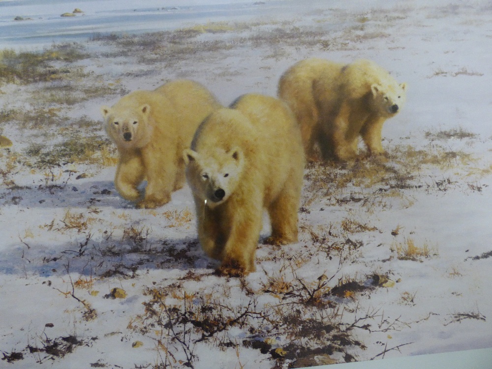 A FRAMED AND GLAZED SIGNED PRINT BY DAVID SHEPHERD TITLED LONE WANDERERS OF THE ARCTIC 100 X 76CMS