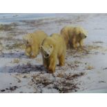 A FRAMED AND GLAZED SIGNED PRINT BY DAVID SHEPHERD TITLED LONE WANDERERS OF THE ARCTIC 100 X 76CMS