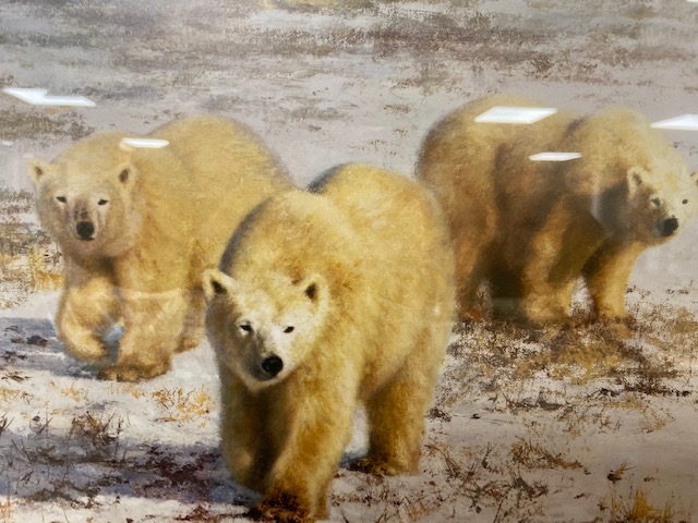 A FRAMED AND GLAZED SIGNED PRINT BY DAVID SHEPHERD TITLED LONE WANDERERS OF THE ARCTIC 100 X 76CMS - Image 8 of 9