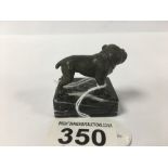 A SMALL EARLY 20TH CENTURY BRONZE FIGURE OF AN ENGLISH BULLDOG, RAISED UPON MARBLE BASE, 4.5CM