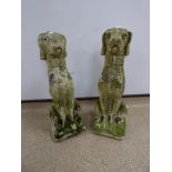 A PAIR OF CONCRETE FIGURES GREYHOUNDS/WHIPPETS, 53CM HIGH