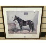 A FRAMED AND GLAZED SIGNED PRINT OF SHERGAR 146 OF 500 60 X 53