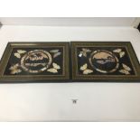 TWO INDIAN SCENES OF BUTTERFLY WINGS OF RECTANGULAR FORM, BOTH MARKED 'R10' FRAMED AND GLAZED, 42.