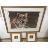 THREE PRINTS OF TIGERS BY DAVID SHEPHERD AND ALAN HUNT, THE LARGEST 104 X 80 CMS. ALL FRAMED AND