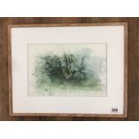 MICHAEL MCGUINNESS A WATERCOLOUR OF UNDERGROWTH, FERNS AND PLANTS SIGNED TO LOWER RIGHT, FRAMED