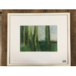 MICHAEL MCGUINNESS A WATERCOLOUR OF WOODED AREA SIGNED TO LOWER RIGHT, FRAMED AND GLAZED 64CM X