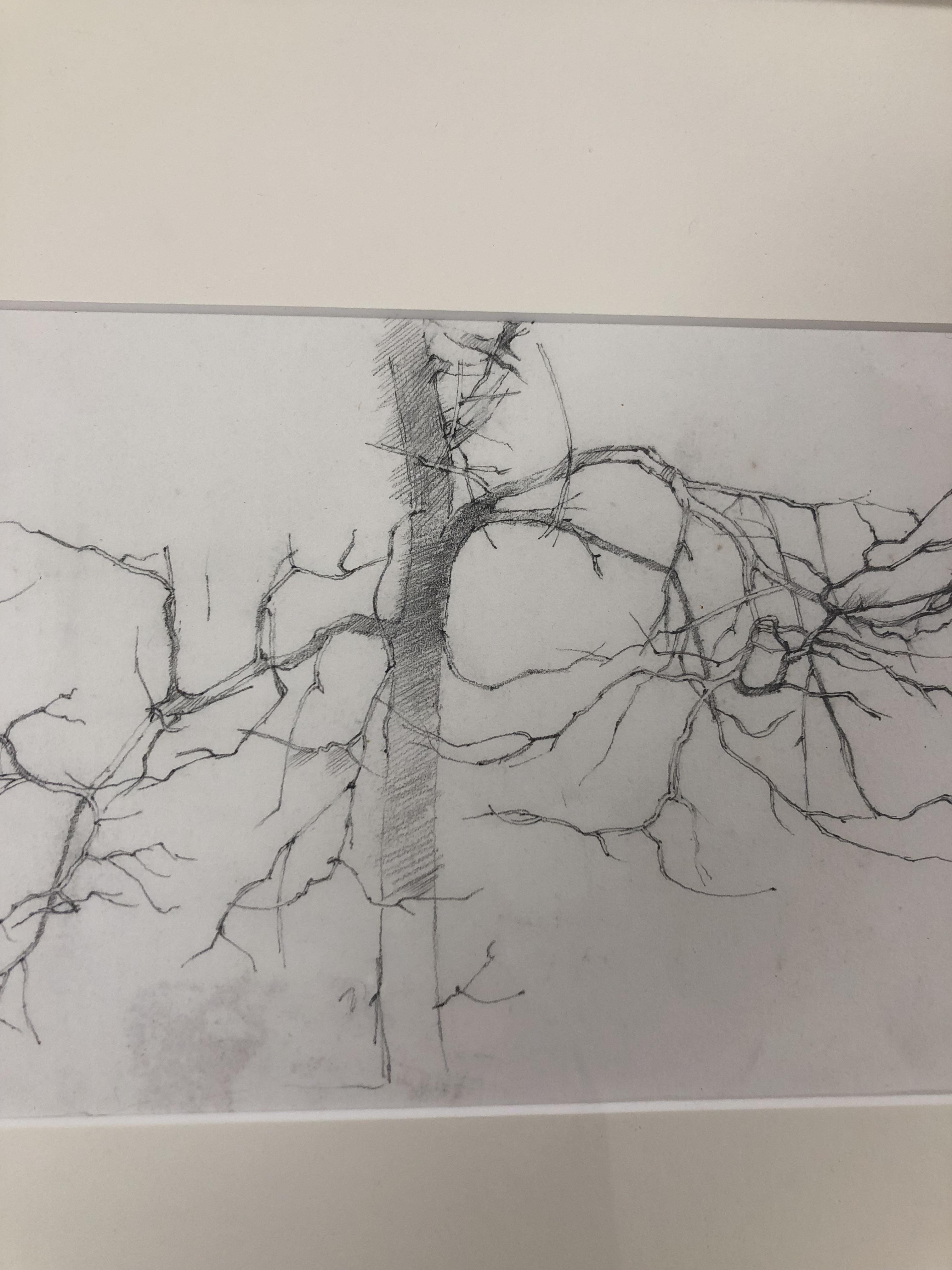 MICHAEL MCGUINNESS TWO PENCIL SKETCHES OF TREES AND WOODLAND UNSIGNED BUT ATTRIBUTED TO MICHAEL - Image 5 of 5
