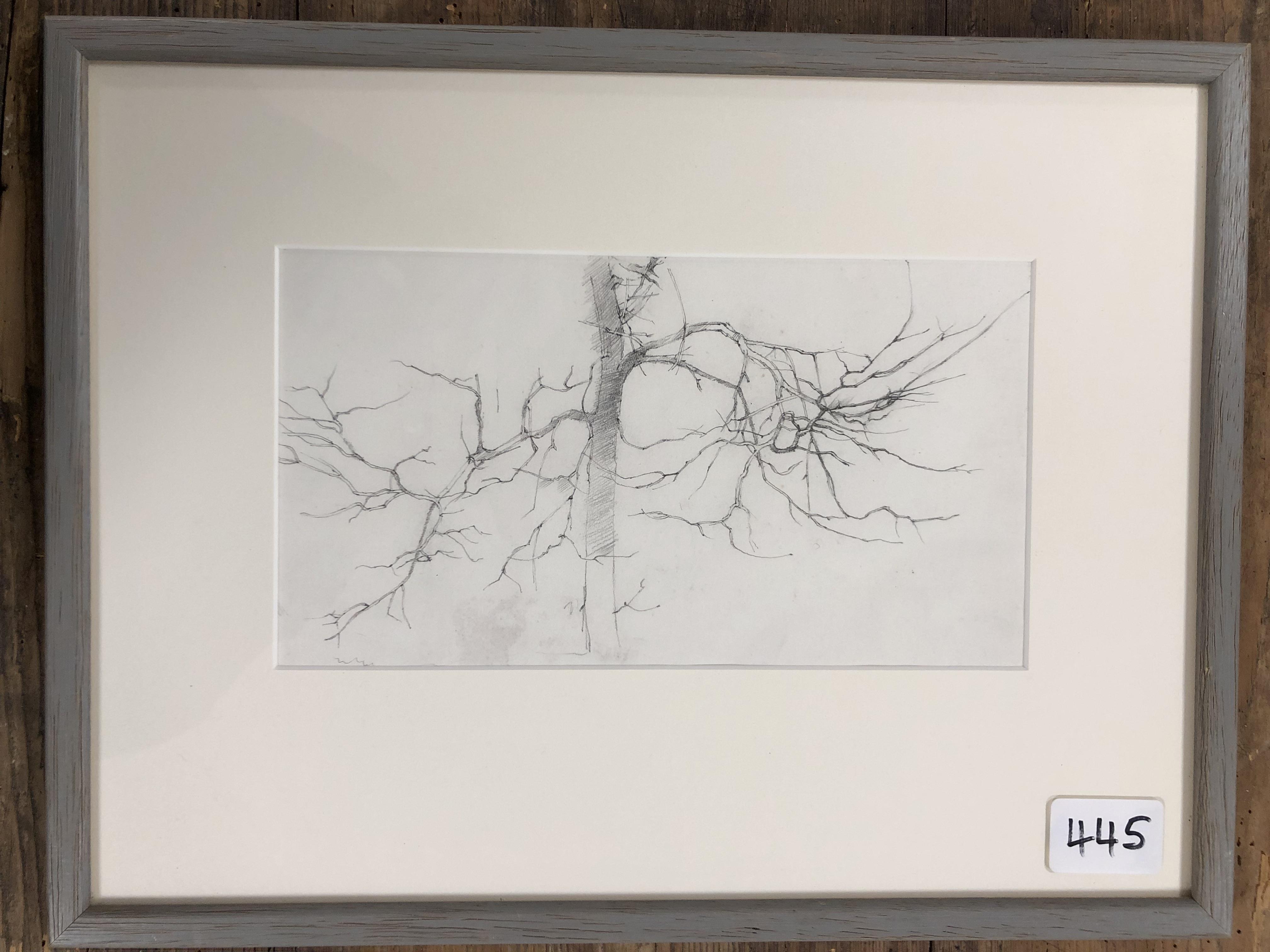 MICHAEL MCGUINNESS TWO PENCIL SKETCHES OF TREES AND WOODLAND UNSIGNED BUT ATTRIBUTED TO MICHAEL - Image 2 of 5