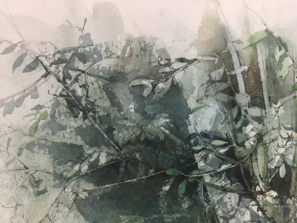 MICHAEL MCGUINNESS A WATERCOLOUR OF UNDERGROWTH, FERNS AND PLANTS SIGNED TO LOWER RIGHT, FRAMED - Image 3 of 3