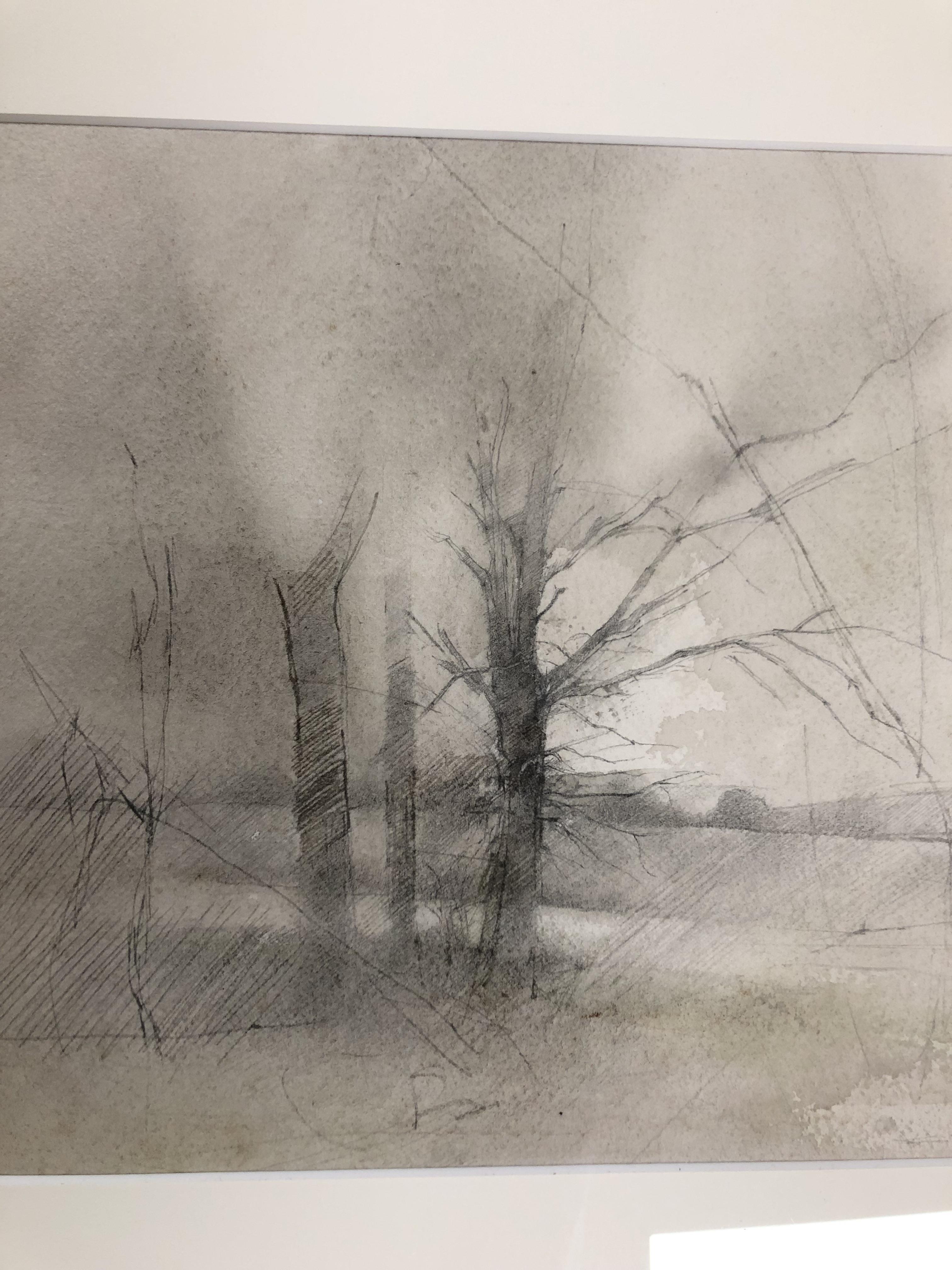 MICHAEL MCGUINNESS TWO PENCIL SKETCHES OF TREES AND WOODLAND UNSIGNED BUT ATTRIBUTED TO MICHAEL - Image 4 of 5