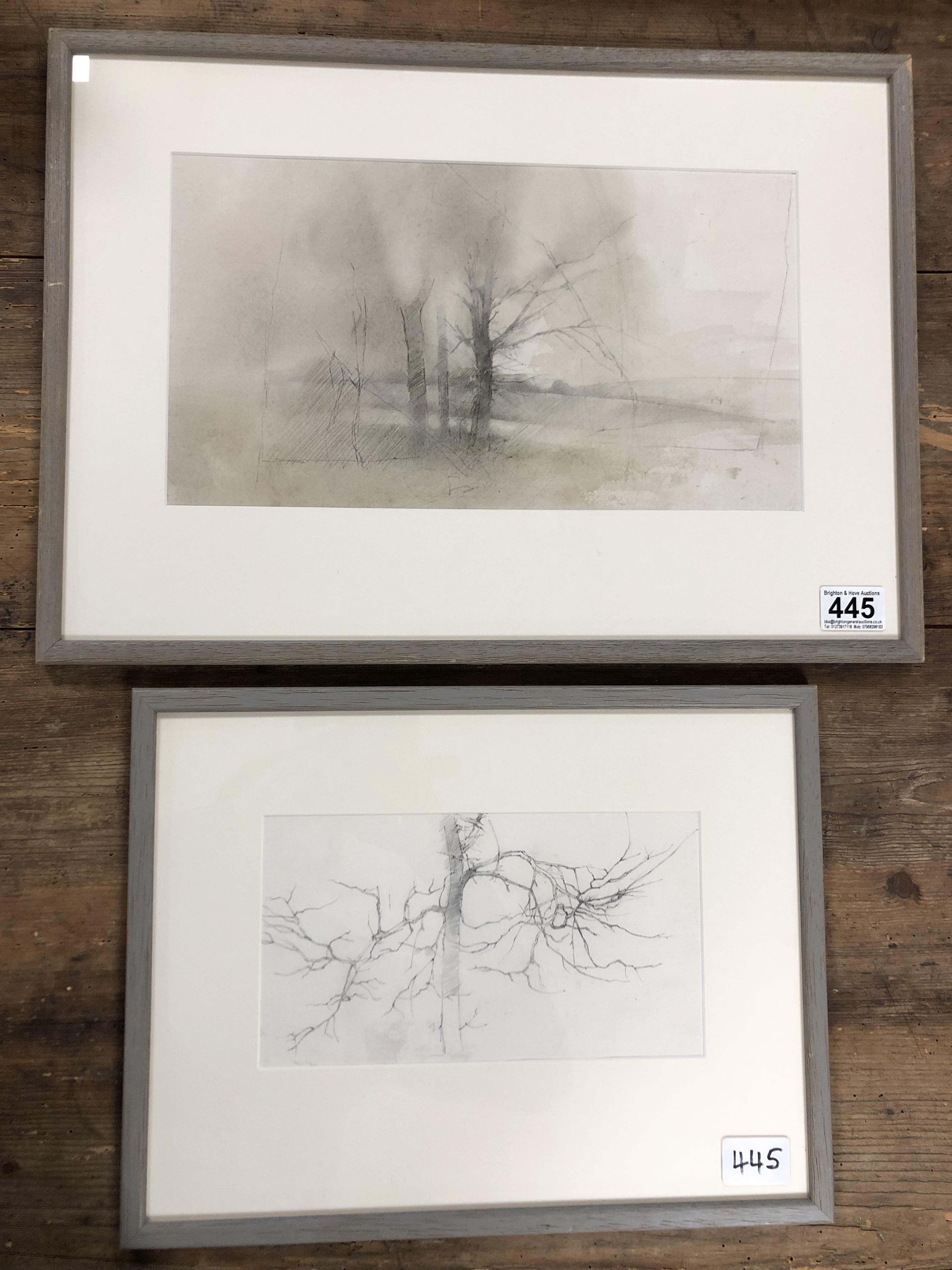 MICHAEL MCGUINNESS TWO PENCIL SKETCHES OF TREES AND WOODLAND UNSIGNED BUT ATTRIBUTED TO MICHAEL