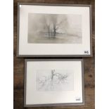 MICHAEL MCGUINNESS TWO PENCIL SKETCHES OF TREES AND WOODLAND UNSIGNED BUT ATTRIBUTED TO MICHAEL