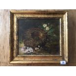 FRAMED OIL ON CANVAS BIRDS EGGS IN NEST A/F UNSIGNED 48 X 43 CMS