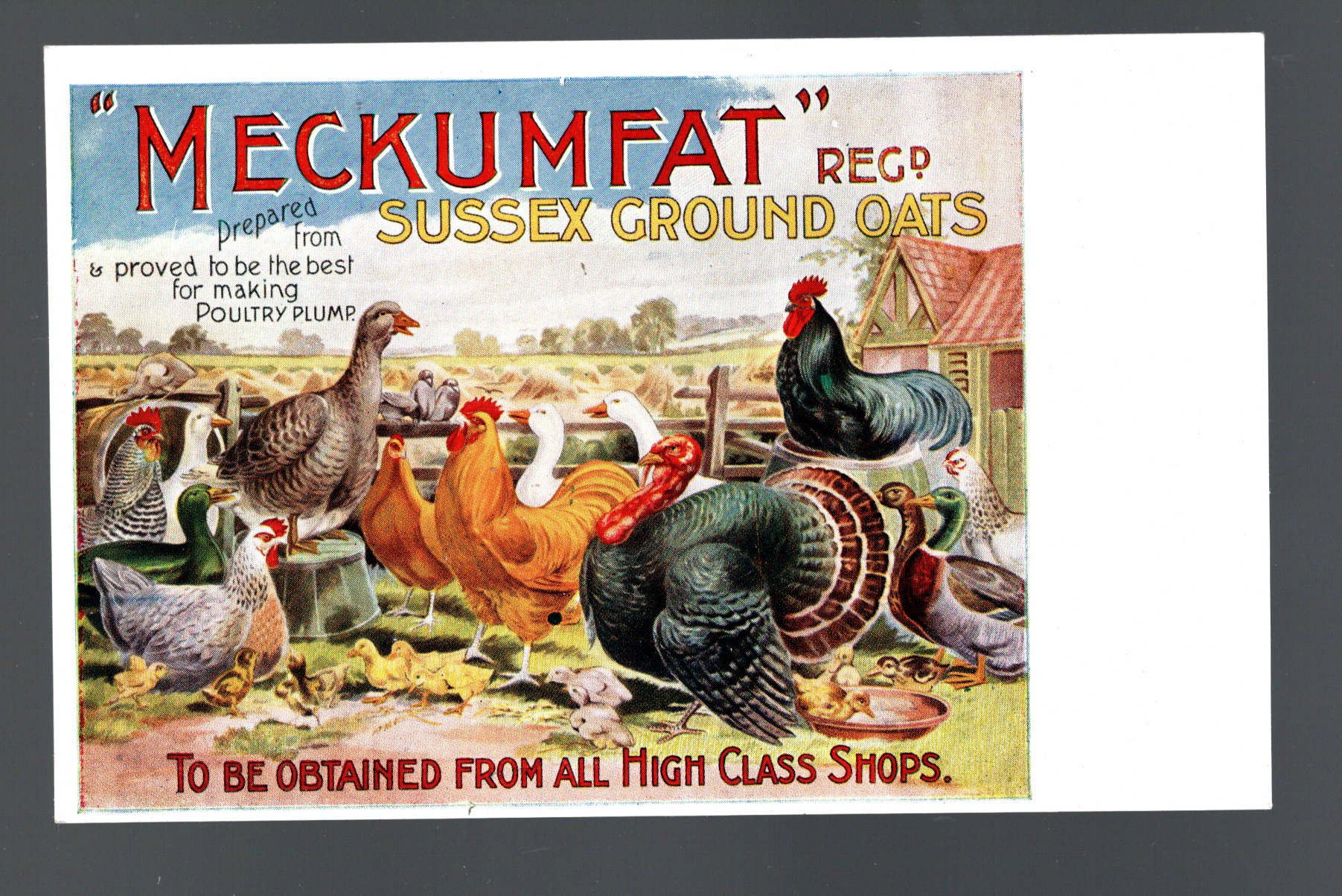 Advert card for ‘Meckumfat’ Sussex ground oats 1920s unused