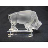 A Lalique bison on rectangular glass base signed to the side