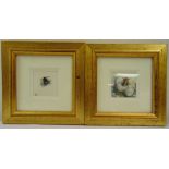 A pair of framed and glazed miniature watercolour studies of bees, monogrammed bottom left, 6.3 x