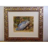 John Sherrin framed and glazed watercolour of a dead pigeon, signed bottom left, 31 x 39.5cm