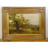 A framed oil on canvas indistinctly signed bottom left possibly Frank Wallace of a man sitting under