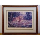 William de Beer framed and glazed limited edition lithographic print titled Tiger Tails 290/850,