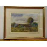 A framed and glazed watercolour of an English landscape with sheep in a meadow, signed bottom