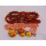 A quantity of amber and a coral necklaces with hallmarked gold clasps