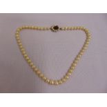 A single strand of pearls with 9ct gold clasp, one pearl missing on clasp