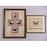 Wolseley Cox framed and glazed watercolour study of butterflies and an 18th century print of