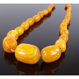A string of graduated butterscotch amber beads, largest bead 28mm, 40.1g