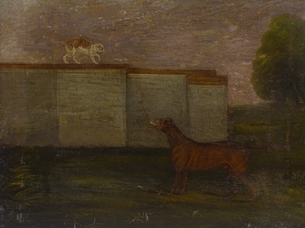 18th century Naive School, oil on canvas, cat looking down on a dog, unsigned, 19.5" x 21", unframed