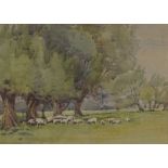 Leslie Charles Boyce (1892 - 1989), watercolour, sheep grazing, 10" x 14", framed