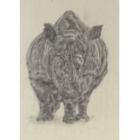 Charcoal on paper, study of a rhino, signed with monogram, 21" x 15", framed