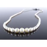 A graduated single row of natural saltwater pearls, diameters ranging from 1.3mm to 5.0mm, colour is