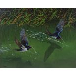 C Woodley, oil on canvas, swifts on the water, 16" x 20", framed