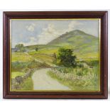 David Bond Walker (1891 - 1977), oil on board, in the Mourne mountains, 16" x 20", framed