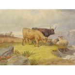 J Baldock, watercolour, cattle and sheep in the Highlands, 1871, 13" x 19", unframed