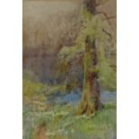 Parker Hagarty, watercolour, figure in woodland, 11" x 7.5", framed