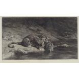 Herbert Dicksee, etching, leopard at the watering hole, signed in pencil, plate size 8" x 14",