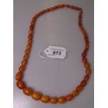 A graduated amber bead necklace, length 58cm, 32g