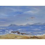 Amanda Olivier, 2 acrylics on board, South African coastal scenes, largest 8" x 10", framed