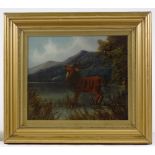 19th century painting on glass, stag in the Highlands, unsigned, 10" x 11", and a pair of 19th