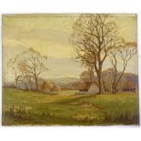 4 early 20th century oils on board, rural landscapes, unsigned, largest 14" x 18", unframed (4)
