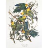 After John Audubon, full set of 30 prints of American birds, published by Harry Abrams New York